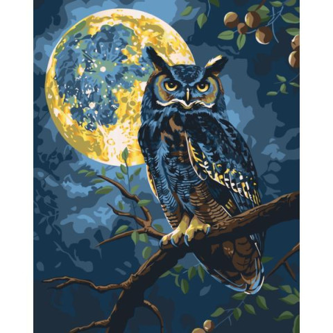 Картина за номерами "Хранитель зоряного світла" з металізованими фарбами 40*50см арт: 11722-AC