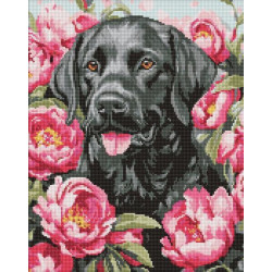 Алмазна мозаїка "Собака у півоніях" 40х50см, термопакет, ТМ Ідейка, Україна арт: AMO20084