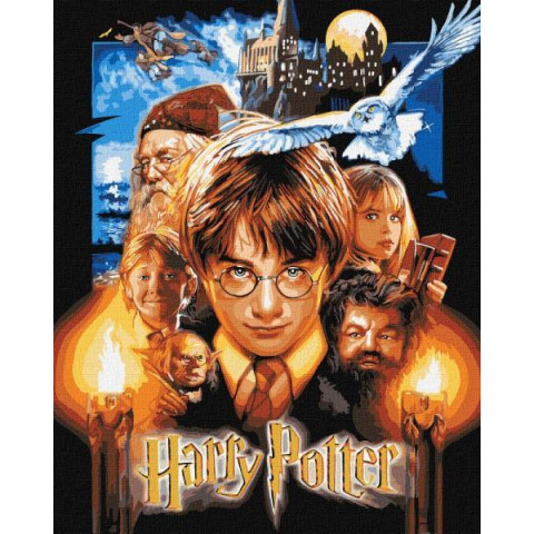 Картина за номерами WB "Harry Potter: Постер з фарбами металік" 40х50см, термопакет, ТМ Ідейка, Україна арт: KHO8716