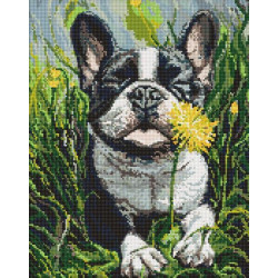 Алмазна мозаїка "Пес і кульбаба" 40х50см, термопакет, ТМ Ідейка, Україна арт: AMO20120