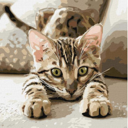 Картина по номерам "Играющий котенок" 40х40см, термопакет, ТМ Идейка, Украина