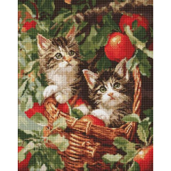 Алмазна мозаїка "Коти у кошику" 40*50см, термопакет, ТМ Ідейка, Україна