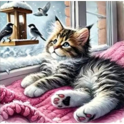 Алмазна мозаїка "Пухнастий спостерігач", 20*20см, на рамці, в кор. 21*21*2,5см, ТМ Dreamtoys