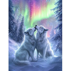 Алмазная мозаика "Небесный танец" 30*40см, на рамке, в кор. 31*41*2,5см, ТМ Dreamtoys