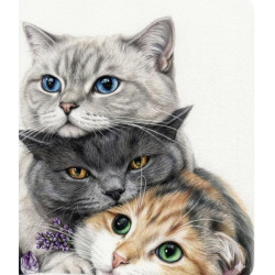 Алмазная мозаика "Кото-пирамида" 30*40см, на рамке, в кор. 31*41*2,5см, ТМ Dreamtoys