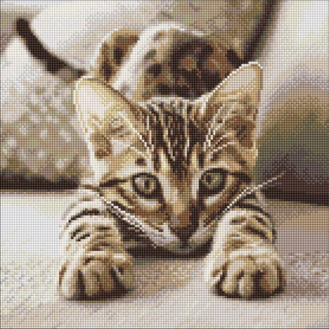 Алмазна мозаїка "Грайливе кошеня" 40*40см, термопакет, ТМ Ідейка, Україна
