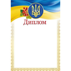 Диплом ДМ-031, 30*20см, цена за 1шт