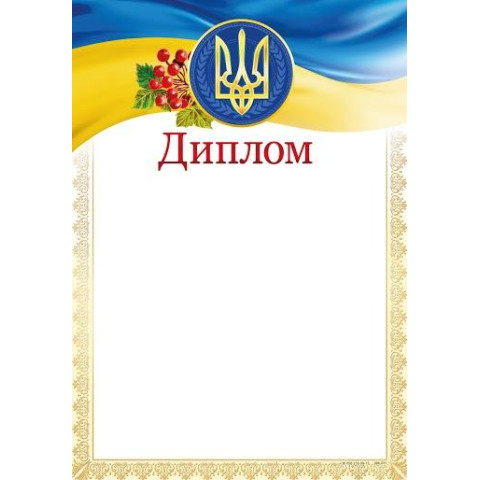 Диплом ДМ-031, 30*20см, цена за 1шт