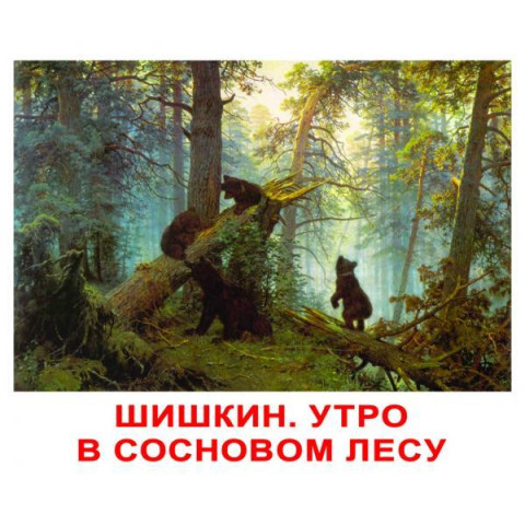 Карточки большие русские с фактами, ламинированные 