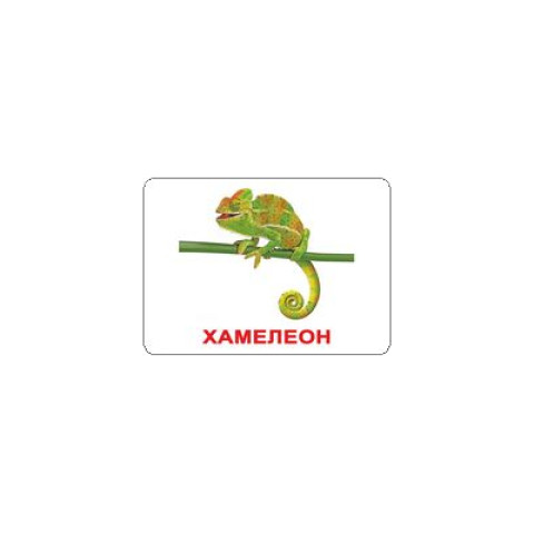 Картки великі російські з фактами, ламіновані 