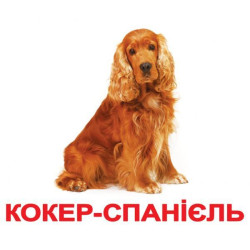 Картки великі українські з фактами "Породи собак" 20 карт.,лам. у пак. 16,5*19,5см, ТМ Вундеркінд