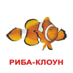 Карточки большие украинские с фактами "Жители водоемов" 20 карт., ламин., в пак. 16,5*19,5см,, Украина, ТМ Вундеркинд с пеленок