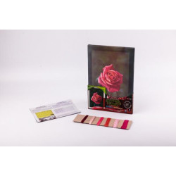 Вишивка гладдю за номерами 9, на підрамнику, 31х21см, Danko Toys (VGL-02-09) 
