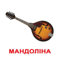 Картки великі українські з фактами "Музичні інструменти" 20 карт., у пак.