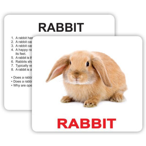 Картки великі Pets and farm animals with facts, інструкція на рус. яз. 30шт