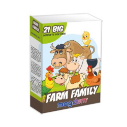 Набор магнитов "Ферма Семейки", 21 магнит, в кор. 12*4*17см, Украина, Magdum