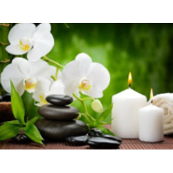 Алмазна мозаїка  Пейзаж. Стоун-терапія, 30х40см, полотно на підрамнику, Dreamtoys (H8348)