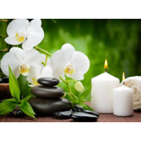 Алмазна мозаїка  Пейзаж. Стоун-терапія, 30х40см, полотно на підрамнику, Dreamtoys (H8348)