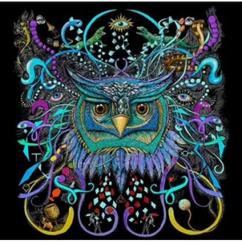Алмазна мозаїка  Птахи. Тотем сови, 30х40см, полотно без підрамника, Dreamtoys (H8761)
