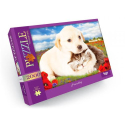 Пазли 2000 елементів, серія 1 Danko Toys (C2000-01-09)